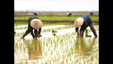 Hotspot Matrix và Bạn đang sống trong năm thế giới số 9: Năm của sự phơi bày, thanh lọc_Công cụ tạo nội dung
