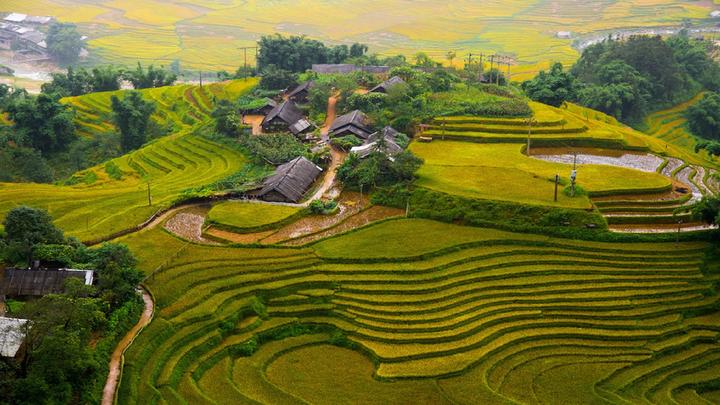 Hotspot Matrix: Bí quyết cạnh tranh của chủ cửa hàng nhỏ